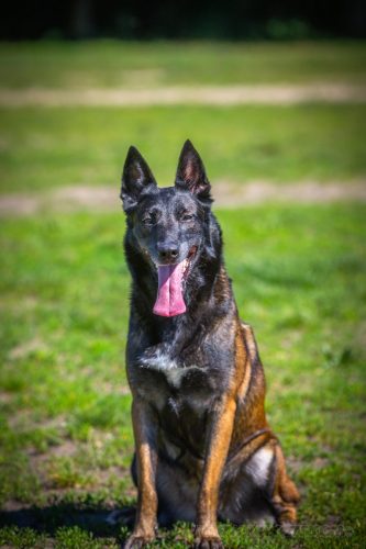 22052026-Nala2