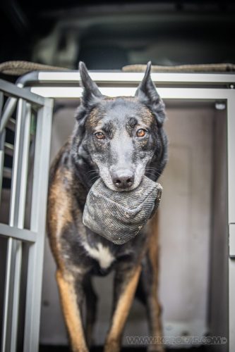 24092026-Nala1