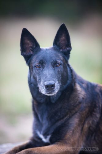 24092026-Nala10