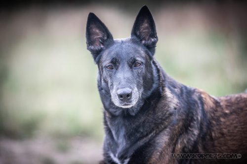 24092026-Nala11