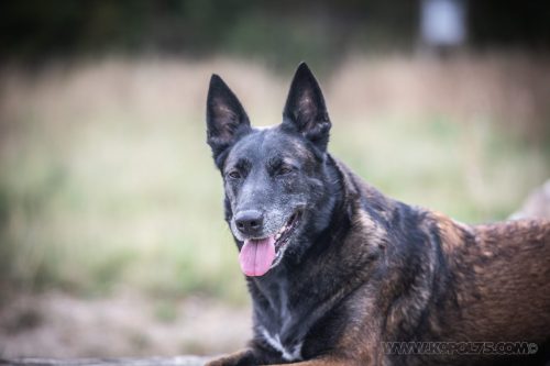 24092026-Nala12