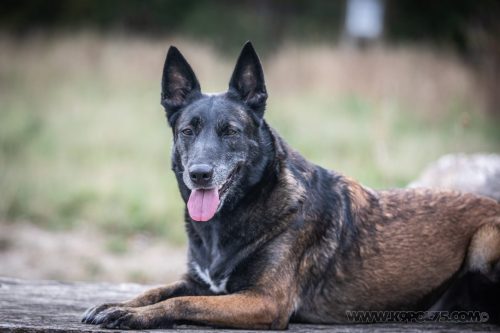 24092026-Nala13