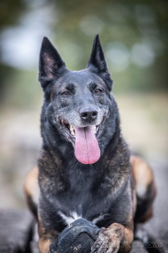 24092026-Nala3