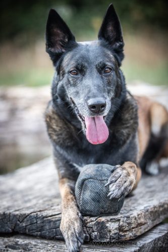 24092026-Nala6