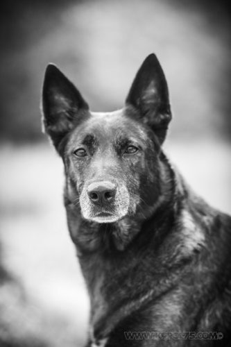 24092026-Nala9
