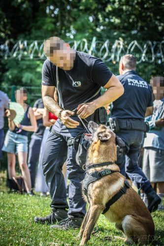 26062026-Urkan14