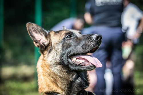 26062026-Urkan7