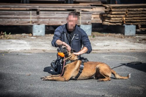 29062026-Ragnar4