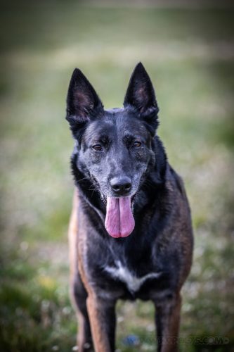 30032026-Nala4
